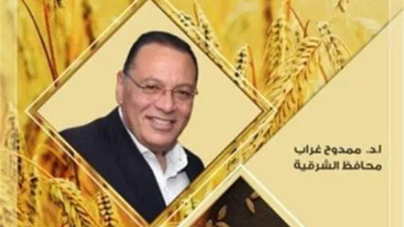 توريد ٢٠٩٩ طن من الذهب الأصفر لشون وصوامع الشرقية