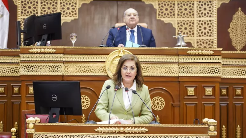 وزيرة التخطيط: 81.4 مليار جنيه استثمارات الكهرباء لعام 2023/2024
