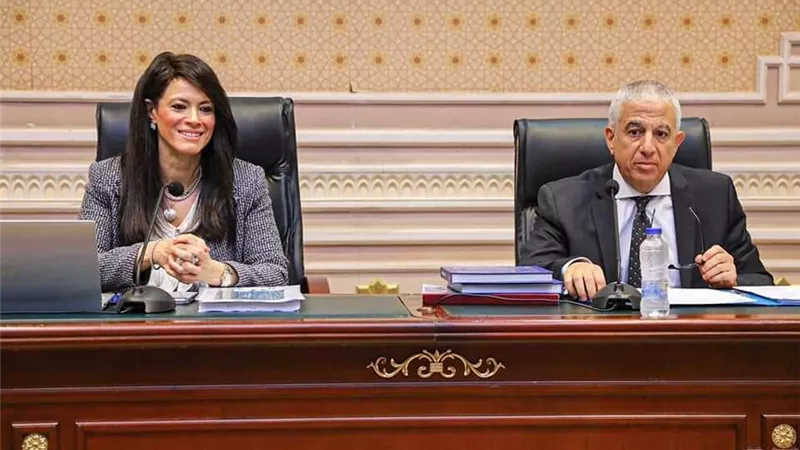 المشاط: 169 مشروعًا جاريًا بمنح تنموية قيمتها 3.4 مليار دولار