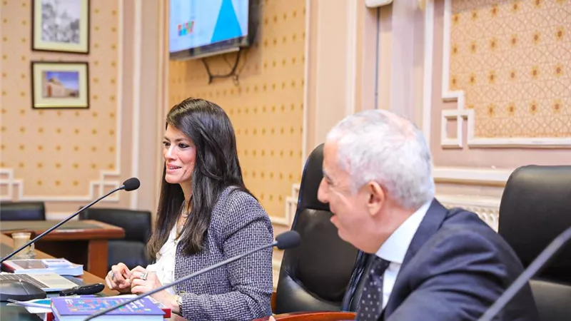 المشاط: إعادة هيكلة متابعة التمويلات الإنمائية للحد من التحديات