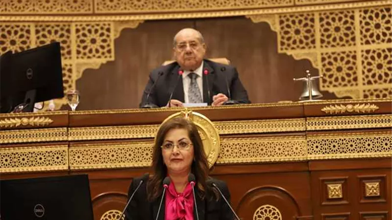 وزيرة التخطيط: التوقف عن الحصول على قروض جديدة إلا بشروط ميسرة