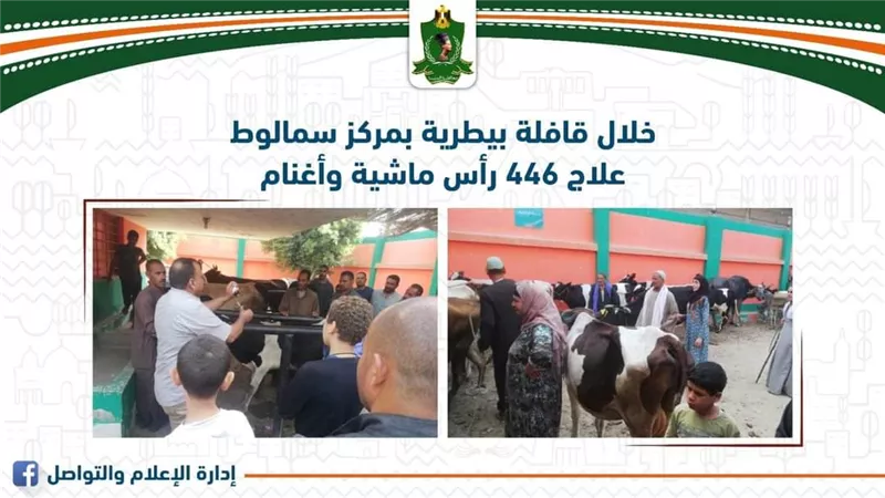 علاج 446 رأس ماشية وأغنام بمركز سمالوط بالمنيا