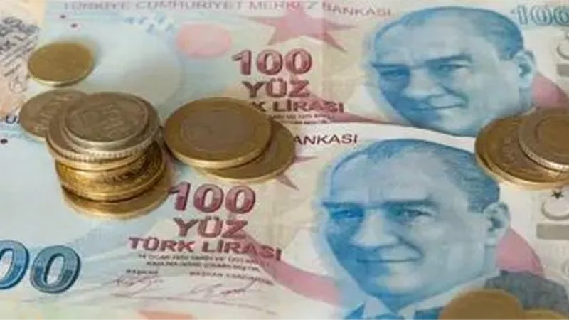 الليرة التركية تفقد 1% أمام الدولار