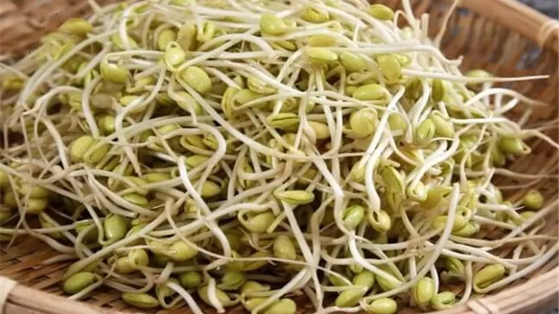 اهمية الحلبة لزيادة الوزن