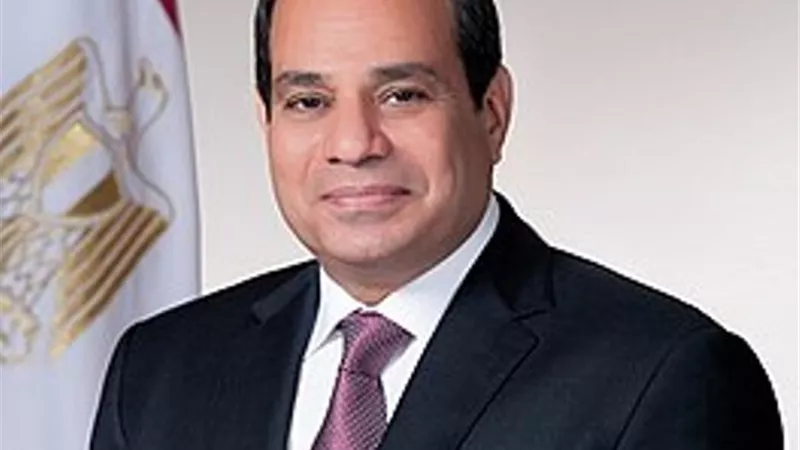 نالومانجو:نقدر جهود السيسي خلال فترة تولي مصر رئاسة الكوميسا