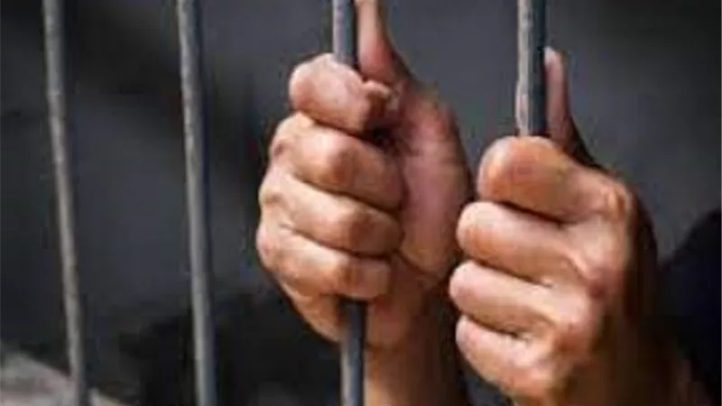 جنايات شبرا .. حبس مبرمج حاسب آلى ٤٥ يوما حبسا مطلقا