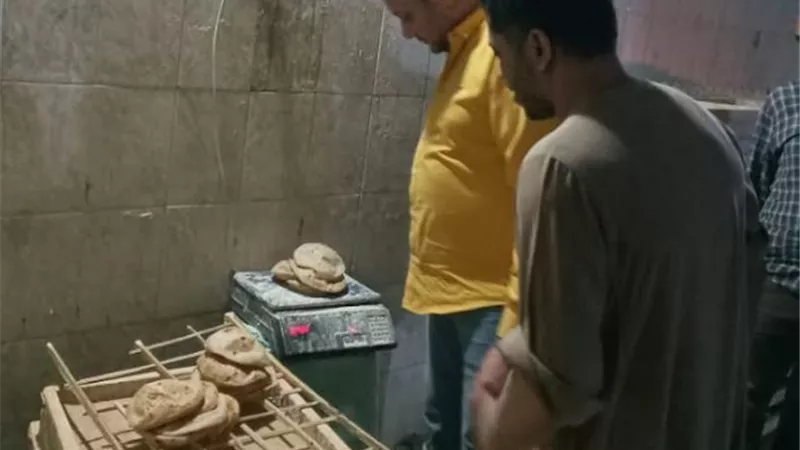 تحرير 65محضراً تموينياً خلال حملات تفتيشية بالمنيا