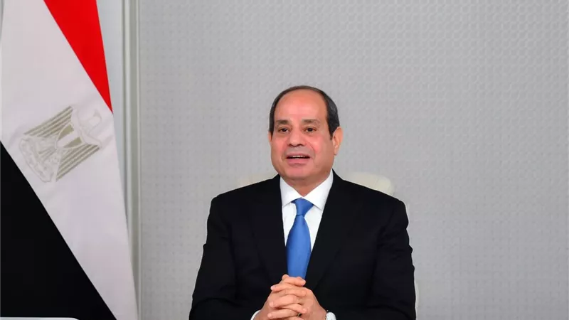 خبير علاقات دولية: السياسة الخارجية في عهد الرئيس السيسي أصبحت منفتحة
