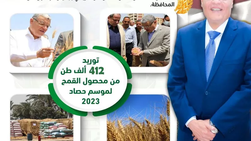شون وصوامع المنيا تستقبل 412 ألف طن من محصول القمح