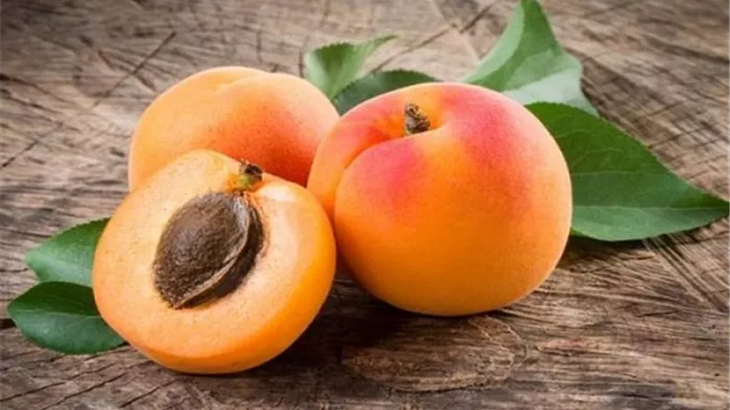 طبيبة تحذر هذه الفئات من تناول المشمش