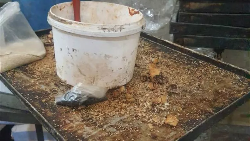 صحة أسيوط تكثف حملاتها بالمرور على 57 منشأة غذائية..وغلق 10 منشآت