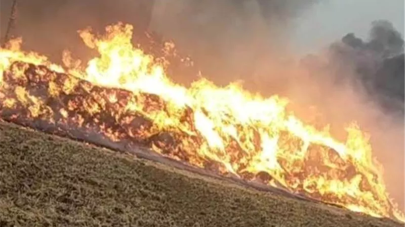 الحمايه المدنيه تسيطر على حريق فى عصارة قصب بنجع حمادى