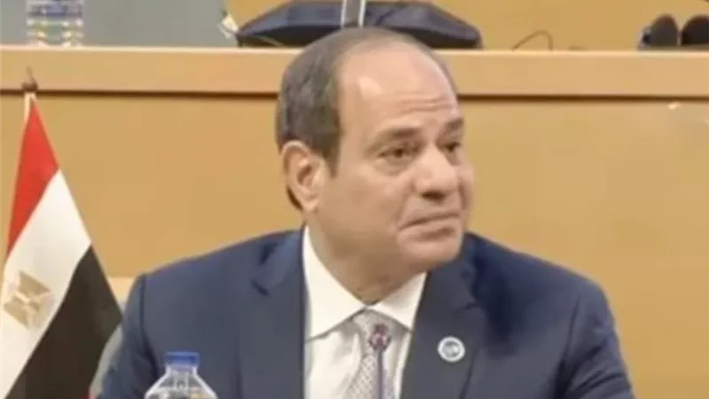 الرئيس السيسي: مصر قدمت 30 مليون لقاح لفيروس كورونا للدول الإفريقية منذ انطلاق الجائحة