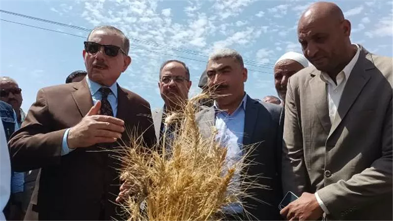 نور الدين:توريد 247 ألفا و41 طناو253 كيلو قمح بنسبة توريد 88.43%