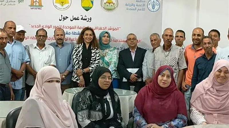 د ياسمين فؤاد: ضرورة النهوض بنوعية الوقود البديل