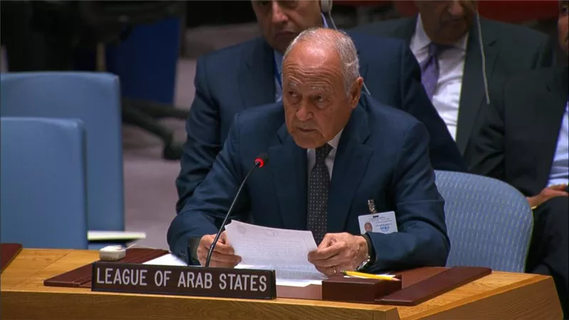 أبو الغيط بمجلس الأمن: لا ينبغي أن تطغى الأزمات العالمية المستجدة على القضايا العربية