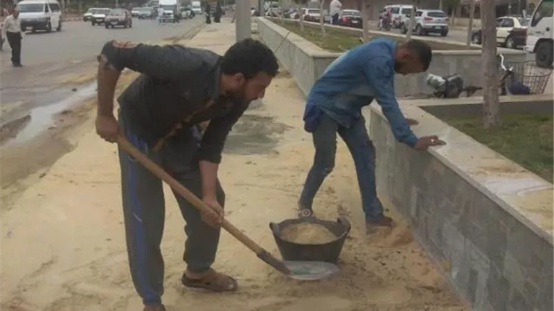 زراعة وتنجيل حدائق الجزر الوسطي بشارع الجيش بالمنصورة