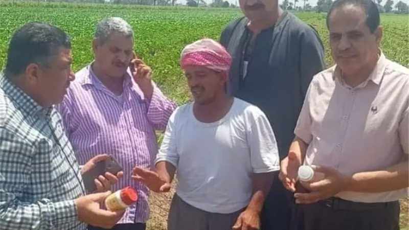 زراعة المنيا تعلن ان الفول الصويا مبشرة بالخير