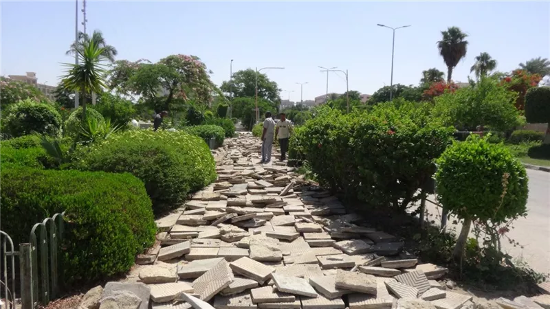 بدء تنفيذ تطوير وإعادة تنسيق الموقع العام لجامعة المنيا