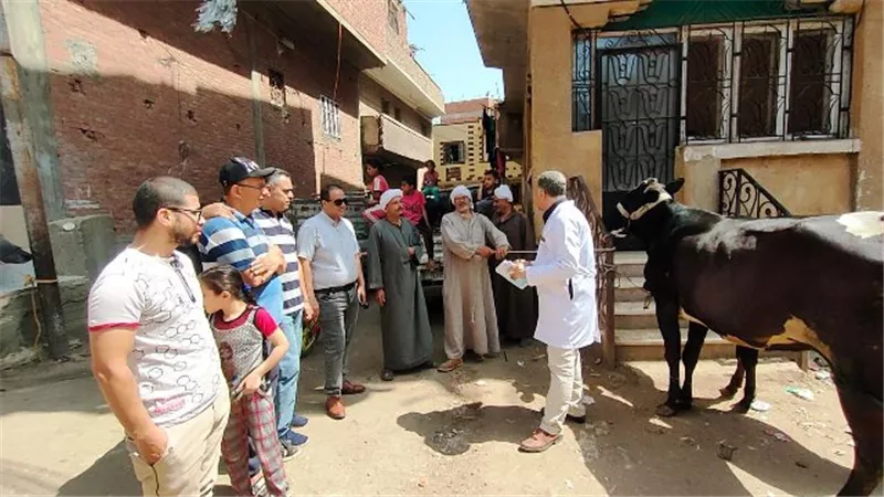 قافلة طبية بيطرية شاملة بالمجان بالعجمى بمشتول السوق