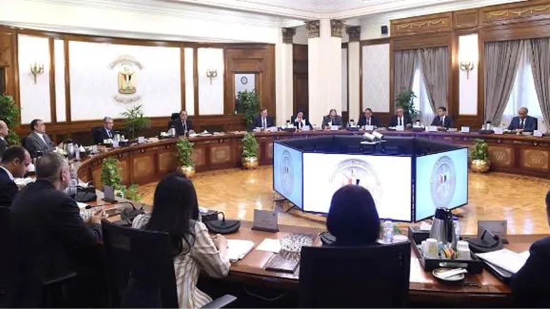 رئيس الوزراء يبحث فرص تعظيم الاستفادة من الثروة التعدينية في مصر