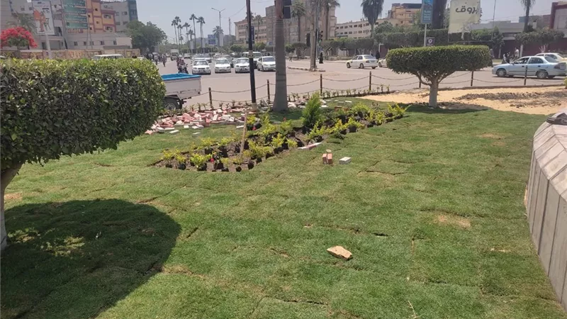 محافظ كفر الشيخ يتفقد أعمال التطوير وزراعة 200 ألف شجرة