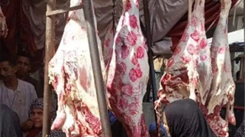 مركز مطاي بالمنيا يواصل طرح لحوم بلدية بأسعار مخفضة للمواطنين