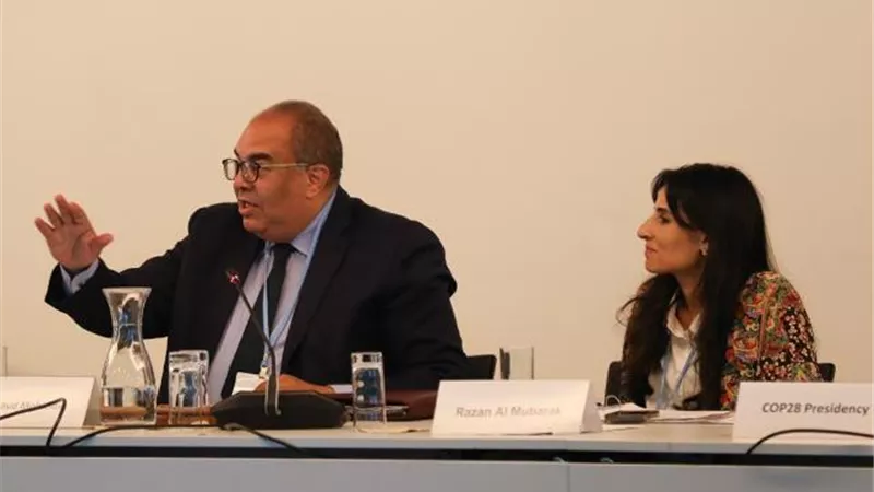 محيي الدين: مؤتمر الأطراف أولى اهتمامًا بالتكيف مع تغير المناخ