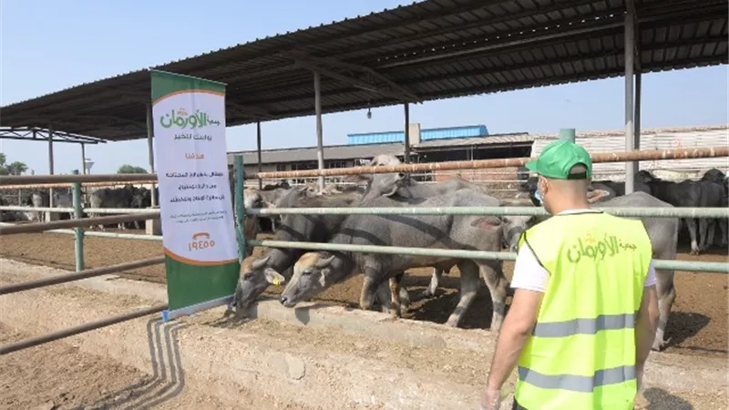 استعدادات مكثفة من جمعية الأورمان استقبالاً لعيد الأضحى المبارك