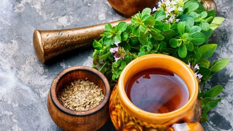 4 مضادات حيوية طبيعية تعرف عليها