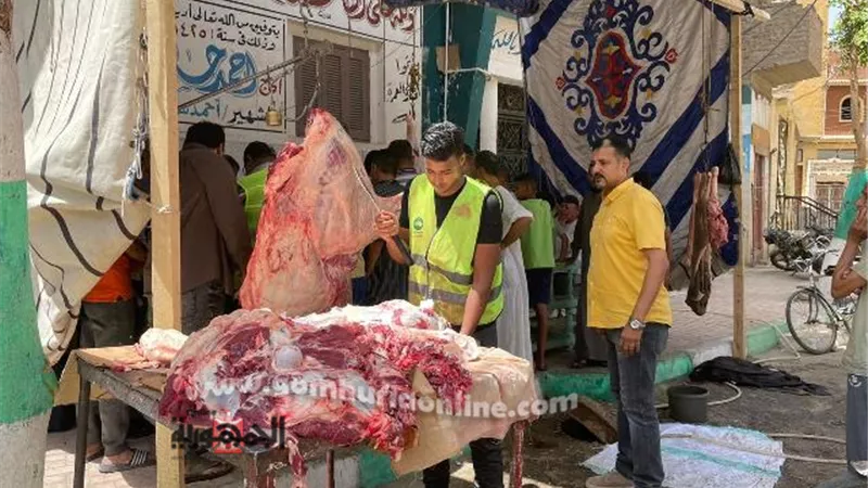مستقبل وطن الأقصر يواصل تنفيذ مبادرة 