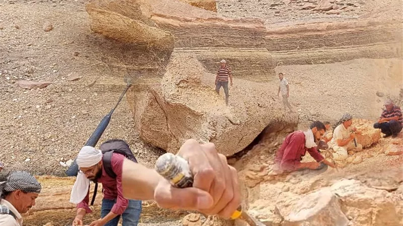 الجمهورية اونلاين تنفرد.. اكتشاف بقايا زاحف بحري عملاق طوله 10 أمتار (صور وفيديو)