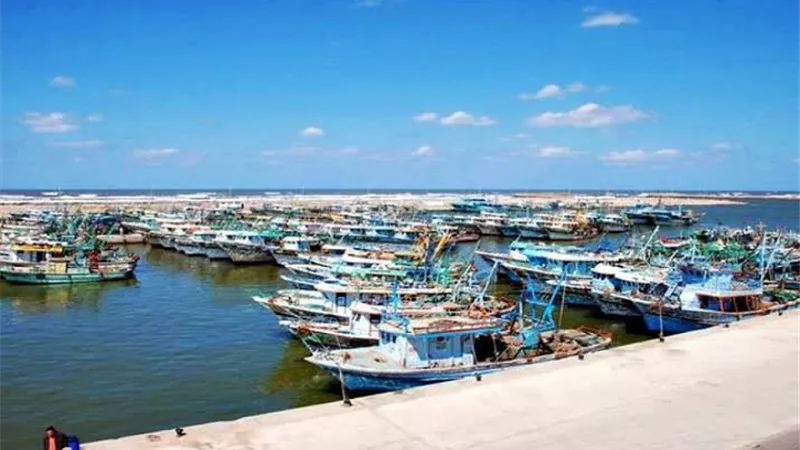 بعد انتهاء العاصفة.. فتح ميناء الصيد البحرى ببرج البرلس