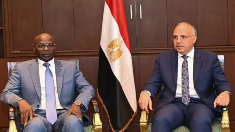 الري: مصر حريصة على تعزيز التعاون مع تشاد في المجالات كافة