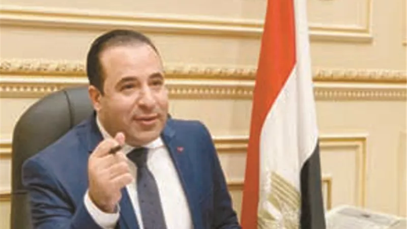 رئيس لجنة الاتصالات: المصريون بالخارج لن يفقدوا هواتفهم الأرضية