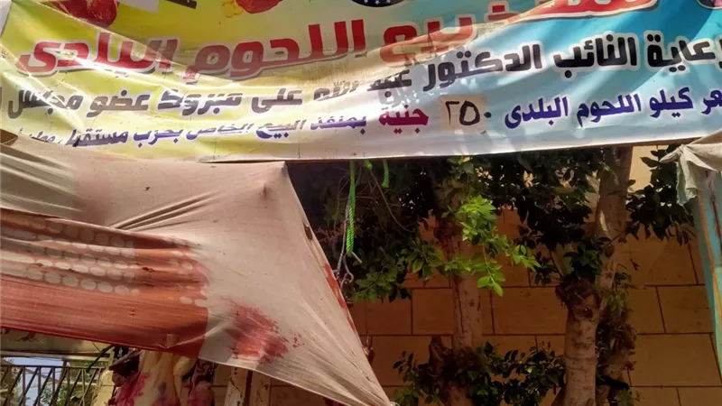برعاية النائب 'مبروك