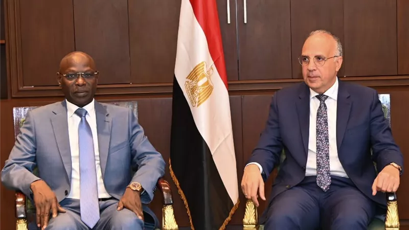 وزير الري: مصر حريصة على تحقيق أكبر مكاسب للقارة الإفريقية