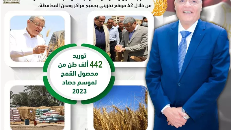 شون وصوامع المنيا تستقبل 442 ألف طن من محصول القمح بجميع المراكز