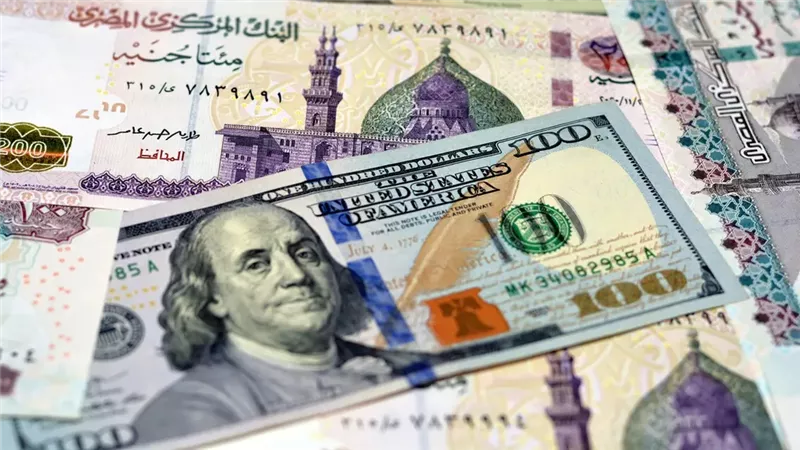 بالفيديو.. هل شهادات البنوك عليها زكاة؟.. أمين الفتوى يجيب