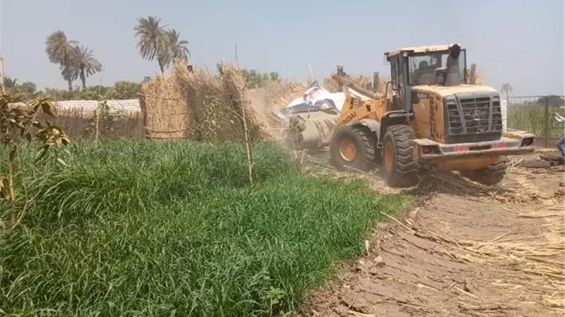 إزالة 355 حالات تعدِ ببنى سويف