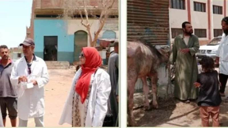 قافلة بيطرية توعوية وقائية بالمجان بقرية ميت بشار