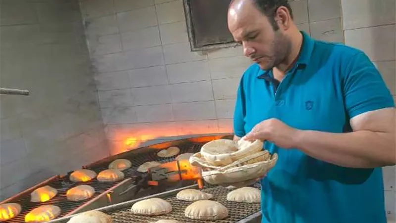 تحرير 152 مخالفه تموينية بالدقهلية خلال يومين