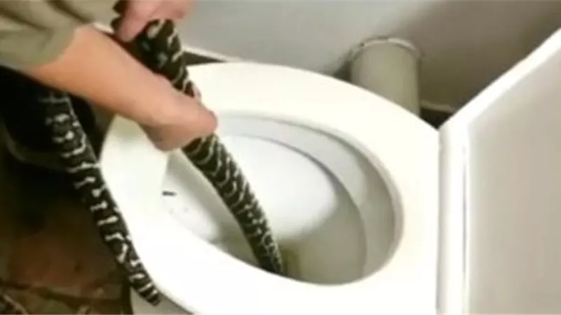 رجل يعثر على ثعبان ضخم أثناء جلوسه على مرحاض منزله