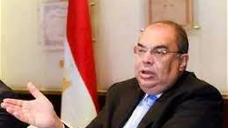 دمحيي الدين يؤكدعلي التعاون بين أفريقيا وأوروبا في المناخ والبيئة