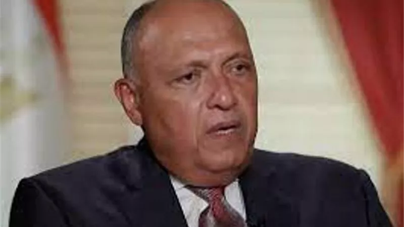 شكرى يستقبل الرئيس الكينى خلال توقفه بمطارالقاهرة نيابة عن السيسى