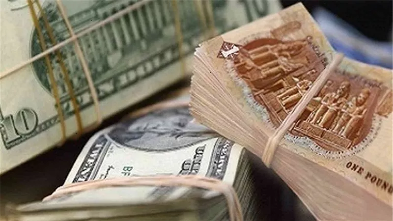 استقرار سعر الدولار.. يجذب رواد السوشيال ميديا
