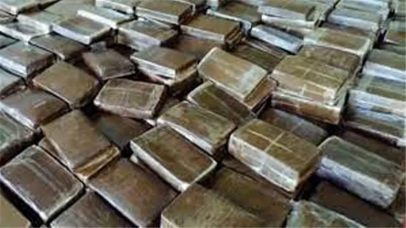 حبس سائق سيارة نقل بحوزته 21 كيلو حشيش فى الشروق