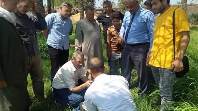 تدريب حقلي عملي لمكافحة سوسة النخيل لمزارعى ميت أبو عربي