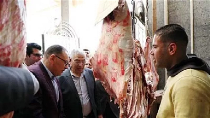 حملات مستمرة علي الأسواق لتحقيق الانضباط.. والذبح مجاناً بالمجازر