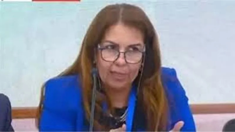 مقرر الحريات بالحوار الوطنى توجه الشكر لإصدار قانون تدوال المعلومات